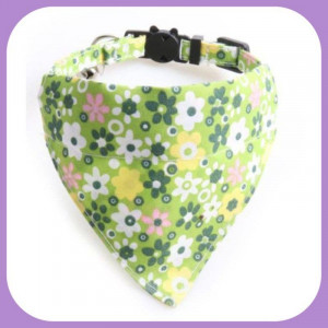 Collar-028